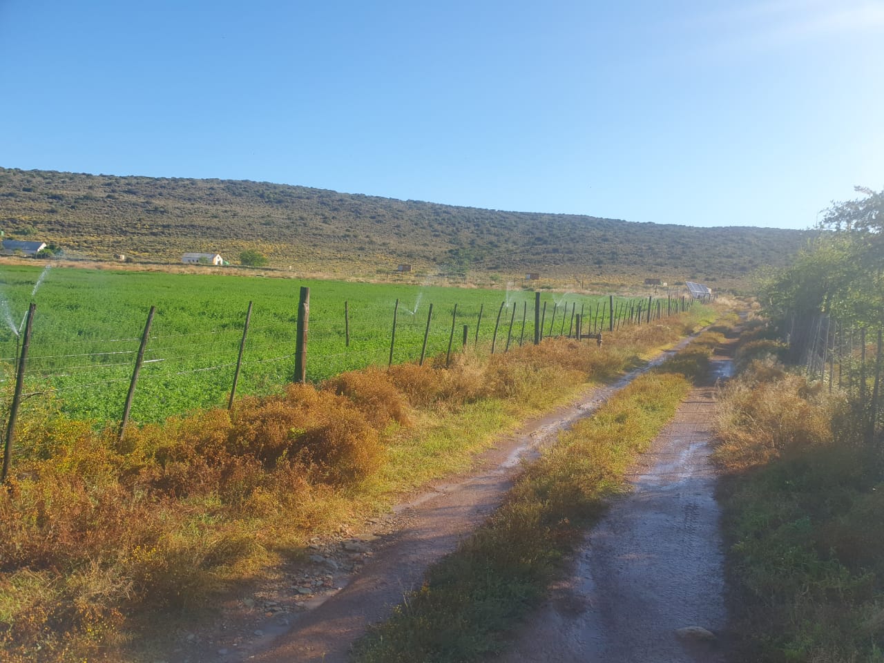 2 Bedroom Property for Sale in Oudtshoorn Rural Western Cape